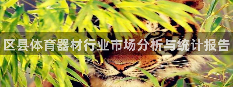 耀世集团总部在哪儿：区县体育器材行业市场分析与统计报