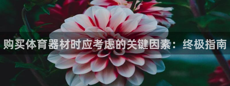 耀世集团王大聪：购买体育器材时应考虑的关键因素：终极