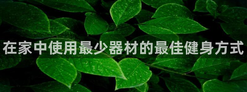 耀世集团视频介绍下载：在家中使用最少器材的最佳健身方