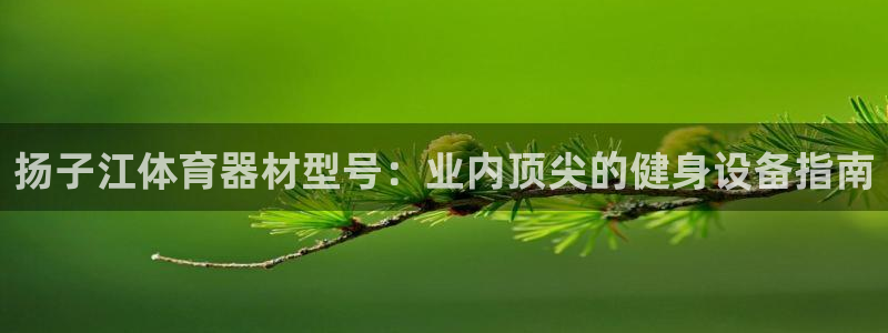 耀世雷霆下载：扬子江体育器材型号：业内顶尖的健身设备