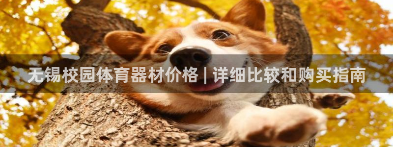 耀世平台代理：无锡校园体育器材价格 | 详细比较和购