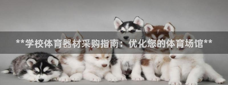 耀世平台六七五一38：**学校体育器材采购指南：优化