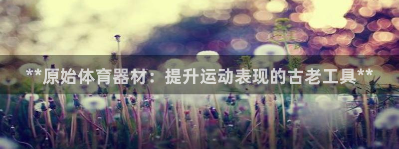 耀世娱乐注册开户要钱吗：**原始体育器材：提升运动表