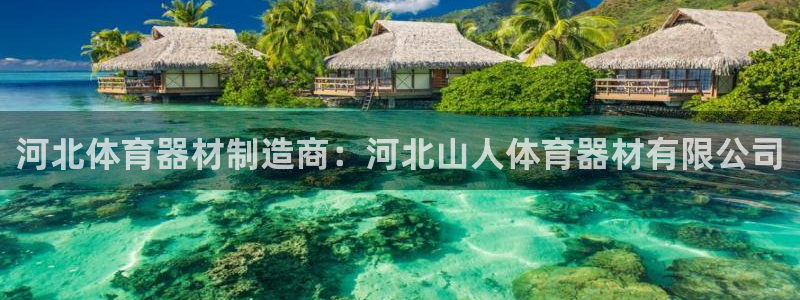 耀世平台主管代理：河北体育器材制造商：河北山人体育器