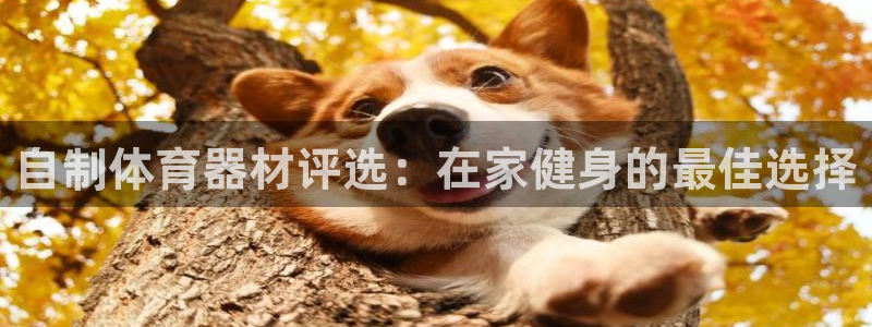 耀世平台注册流程图：自制体育器材评选：在家健身的最佳