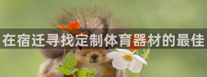 耀世平台注册开户：在宿迁寻找定制体育器材的最佳