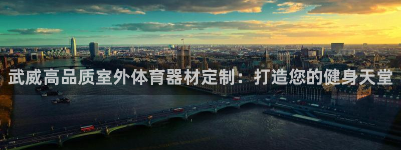 耀世微光mp3下载：武威高品质室外体育器材定制：打造