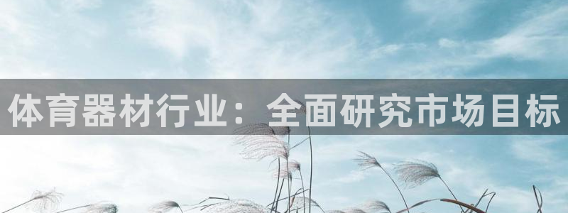 耀世盛典手游下载：体育器材行业：全面研究市场目标