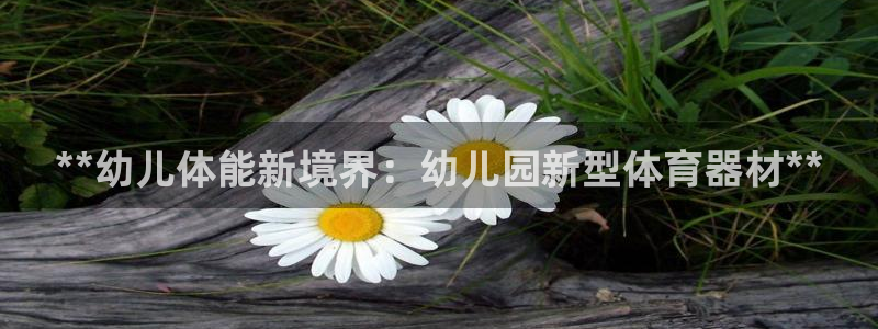 耀世盛典手游下载官网：**幼儿体能新境界：幼儿园新型