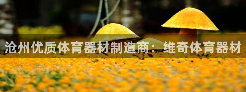 耀世平台拿什么输入账号密码呢：沧州优质体育器材制造商