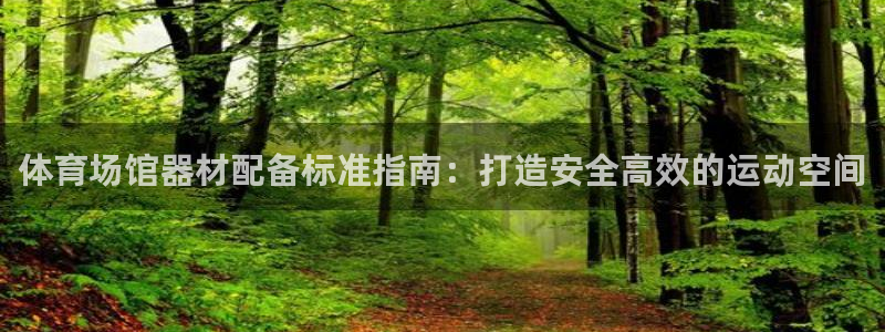 耀世集团是干嘛的企业：体育场馆器材配备标准指南：打造