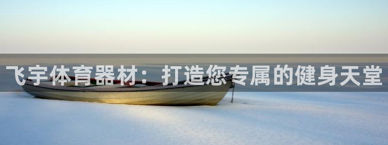 耀世娱乐平台官网登录不了怎么回事：飞宇体育器材：打造