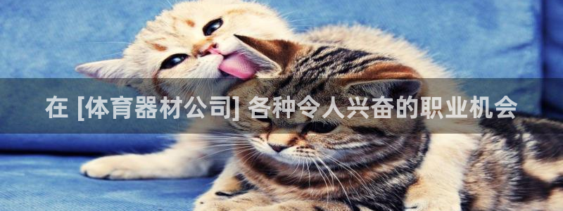 耀世平台皮皮虾：在 [体育器材公司] 各种令人兴奋的