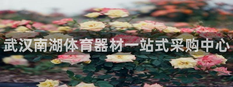 耀世天下的网名是什么意思啊：武汉南湖体育器材一站式采