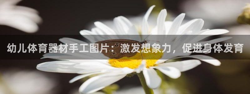 耀世娱乐能不能提现：幼儿体育器材手工图片：激发想象力