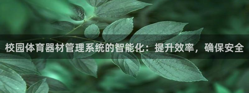 耀世挑战第二关怎么过：校园体育器材管理系统的智能化：