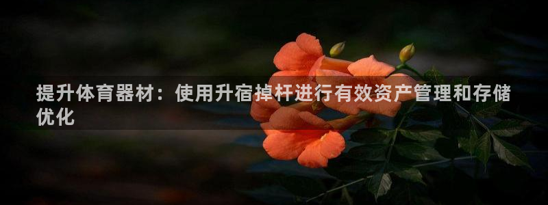 耀世平台代理怎么做：提升体育器材：使用升宿掉杆进行有