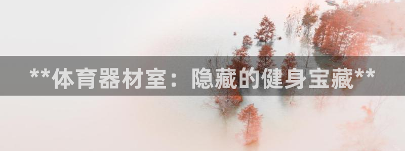 耀世平台负责人怎么样：**体育器材室：隐藏的健身宝藏