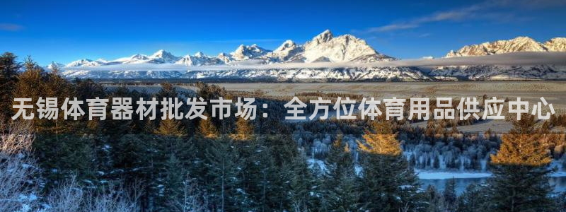 耀世娱乐：无锡体育器材批发市场：全方位体育用品供应中