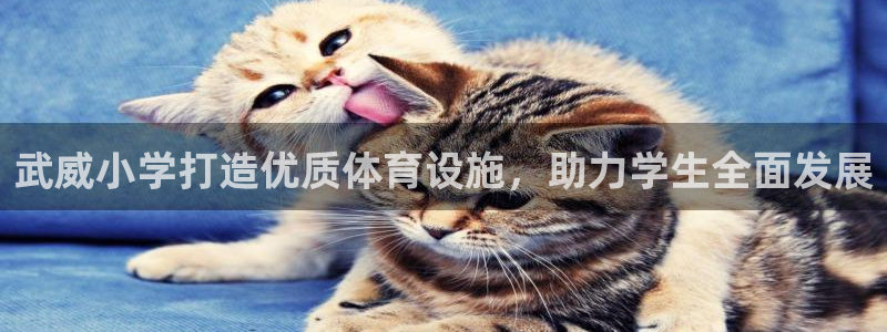耀世微光歌词：武威小学打造优质体育设施，助力学生全面