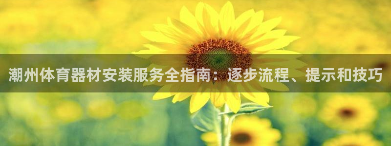 耀世国际集团：潮州体育器材安装服务全指南：逐步流程、