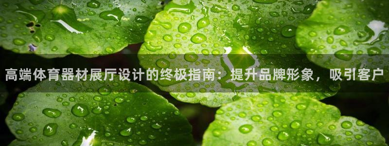耀世娱乐下载链接安装包：高端体育器材展厅设计的终极指