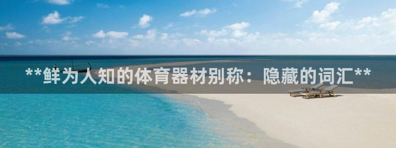 耀世平台遇 411o31 平台：**鲜为人知的体育器