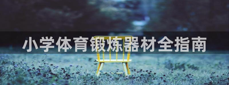 耀世平台开户要求是什么：小学体育锻炼器材全指南