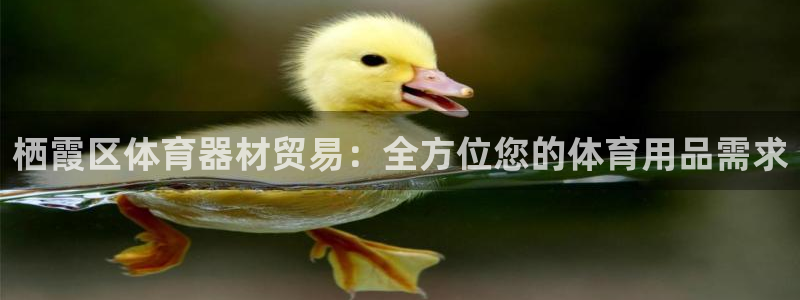 耀世平台注册流程图：栖霞区体育器材贸易：全方位您的体