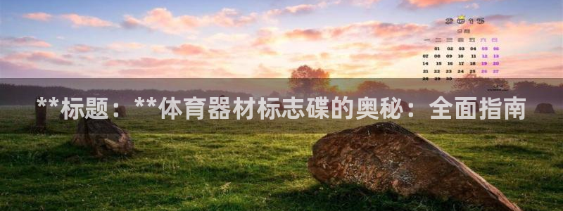 耀世娱乐登录注册流程：**标题：**体育器材标志碟的