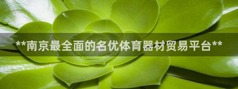 耀世令是什么：**南京最全面的名优体育器材贸易平台*
