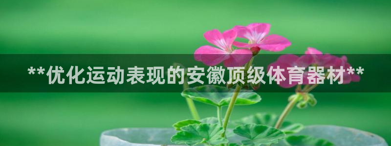 耀世娱乐建3.3.4.8.2 主管：**优化运动表现