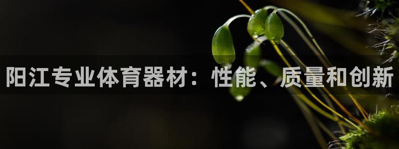 耀世娱乐挂机教程：阳江专业体育器材：性能、质量和创新