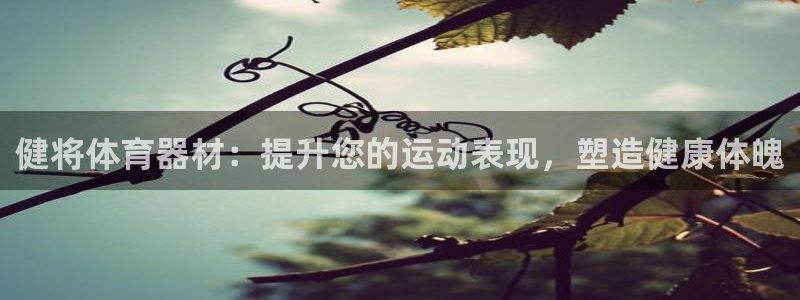 耀世娱乐脚本下载官网：健将体育器材：提升您的运动表现