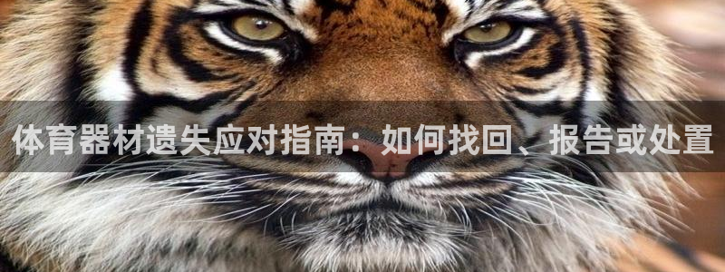 耀世娱乐平台注册地址在哪里找：体育器材遗失应对指南：