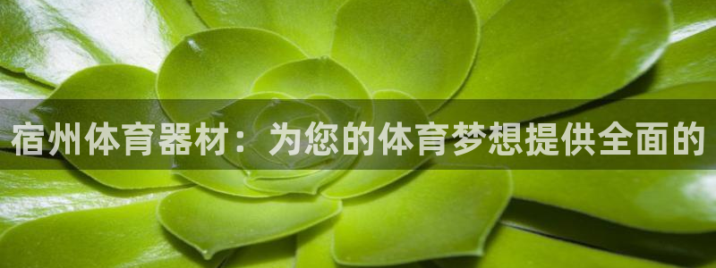 耀世平台嗯 5o69I7：宿州体育器材：为您的体育梦