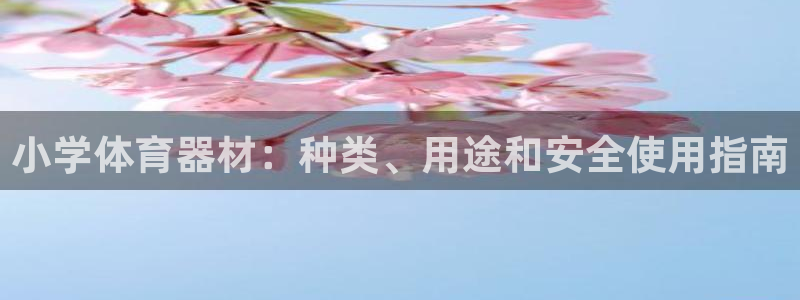耀世娱乐是正规还是仿真：小学体育器材：种类、用途和安