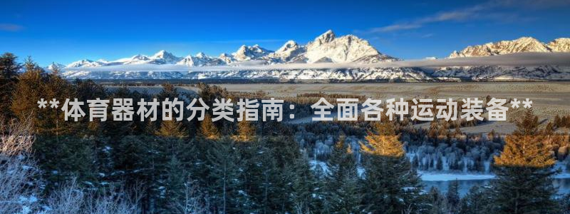 耀世娱乐官网首页登录不了：**体育器材的分类指南：全