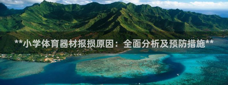 耀世是什么车：**小学体育器材报损原因：全面分析及预