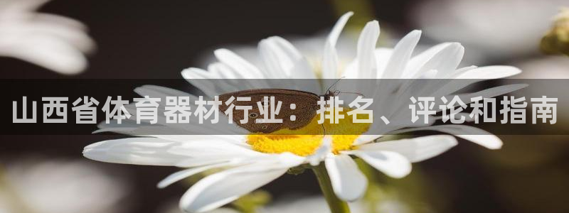 耀世娱乐登陆地址怎么改：山西省体育器材行业：排名、评