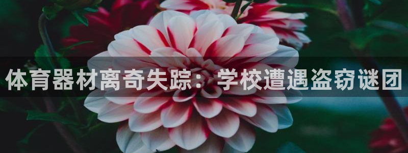 耀世天下怎么接：体育器材离奇失踪：学校遭遇盗窃谜团