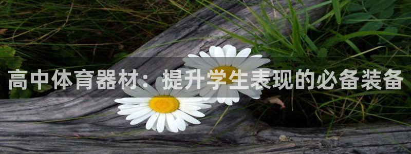 耀世国际平台正规吗：高中体育器材：提升学生表现的必备