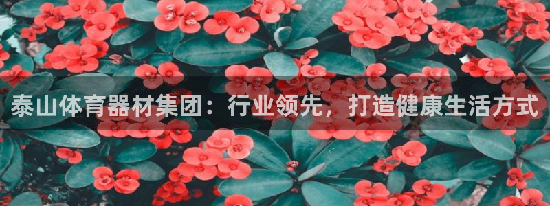 耀世微光曲谱：泰山体育器材集团：行业领先，打造健康生