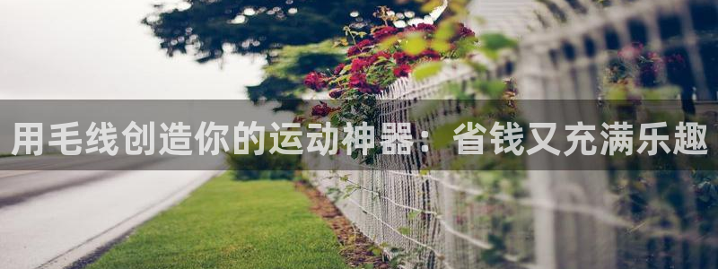 耀世娱乐骗局是真的吗：用毛线创造你的运动神器：省钱又