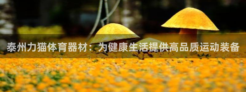 耀世娱乐代理什么待遇：泰州力猫体育器材：为健康生活提