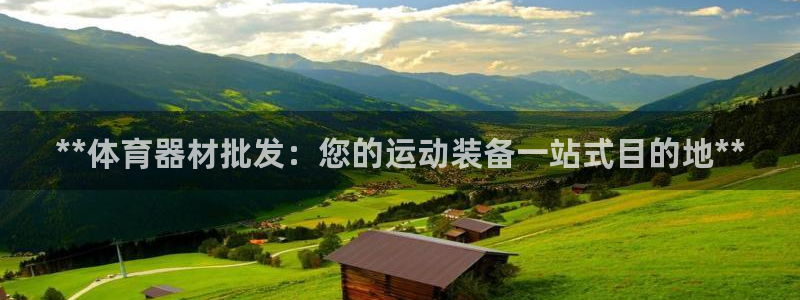耀世集团做什么的：**体育器材批发：您的运动装备一站