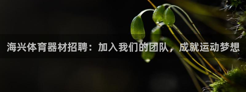 耀世娱乐app下载安装苹果：海兴体育器材招聘：加入我