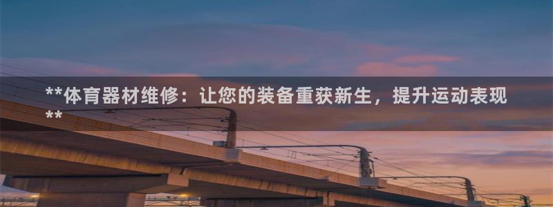 耀世盛典手游：**体育器材维修：让您的装备重获新生，