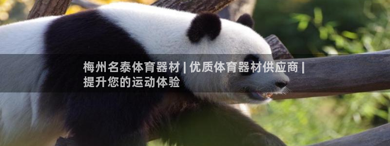 耀世盛典手游下载：梅州名泰体育器材 | 优质体育器材