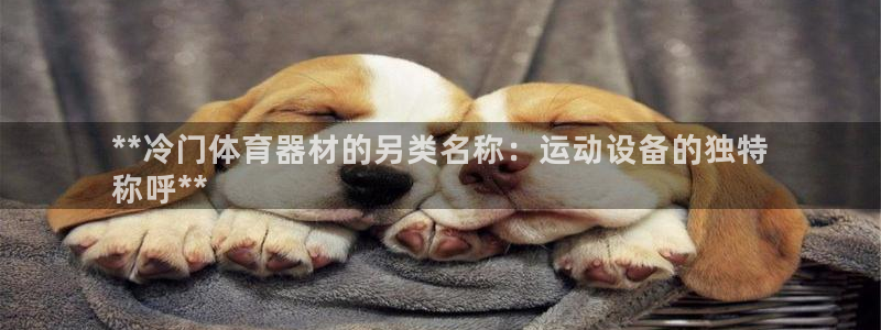 耀世娱乐软件下载安装：**冷门体育器材的另类名称：运